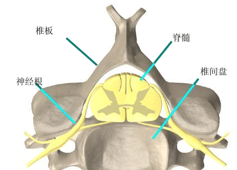 頸椎病