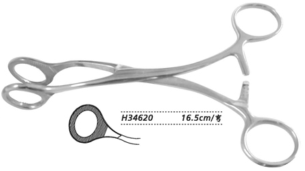 金鐘舌鉗 H34620